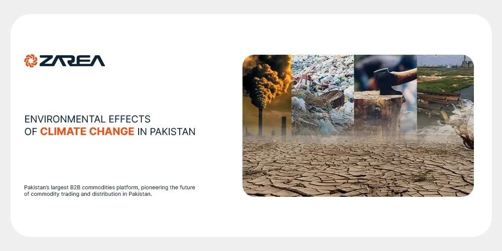 Environmental Effects of Climate Change in Pakistan